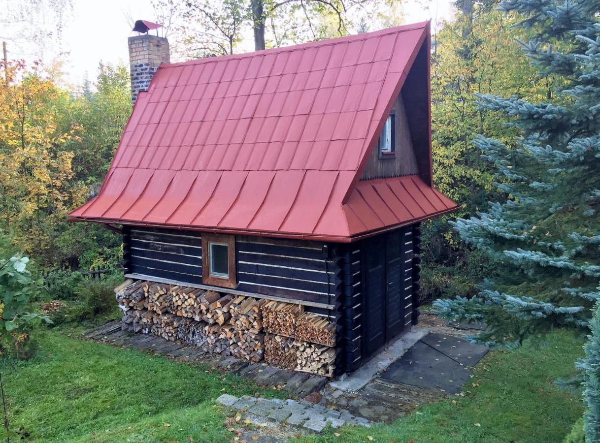 Chata Fortuna Dolní Lomná Exterior foto